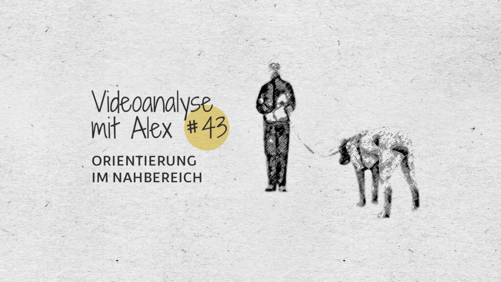 #43 Videoanalyse mit Alex: Orientierung im Nahbereich