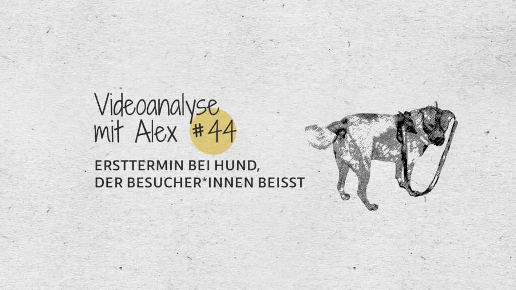 #44 Videoanalyse mit Alex: Ersttermin bei Hund, der Besucher*innen beißt