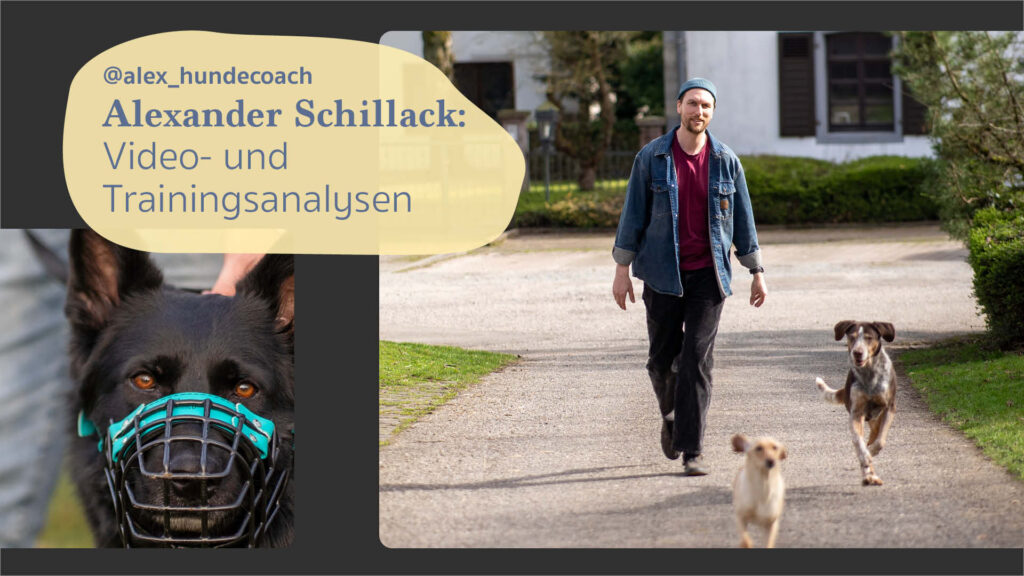 Alexander Schillack: Video- und Trainingsanalysen
