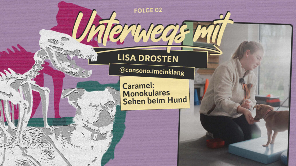 Unterwegs mit Lisa | Folge 2 – Monokulares Sehen beim Hund
