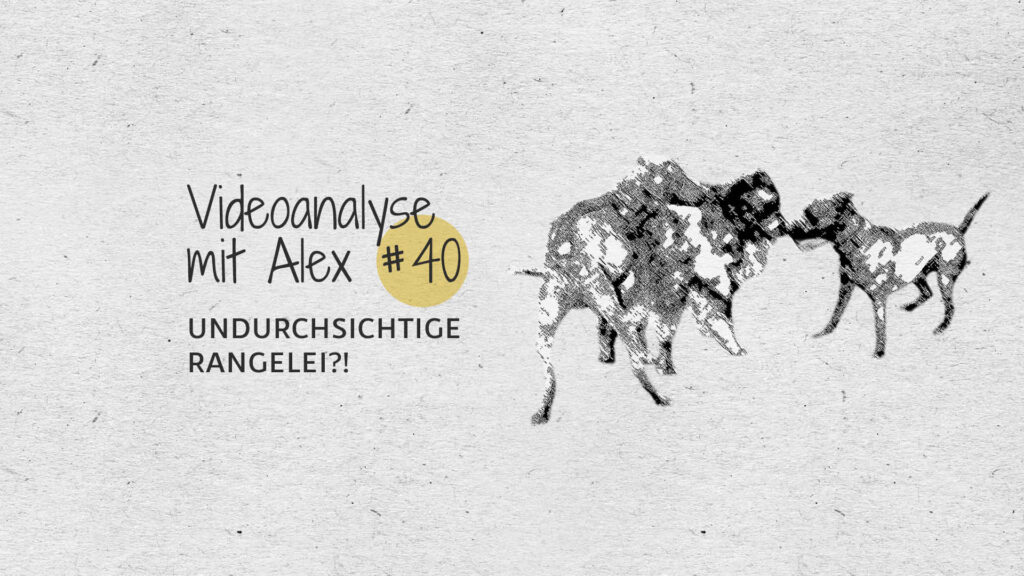 #40 Videoanalyse mit Alex: Undurchsichtige Rangelei?!