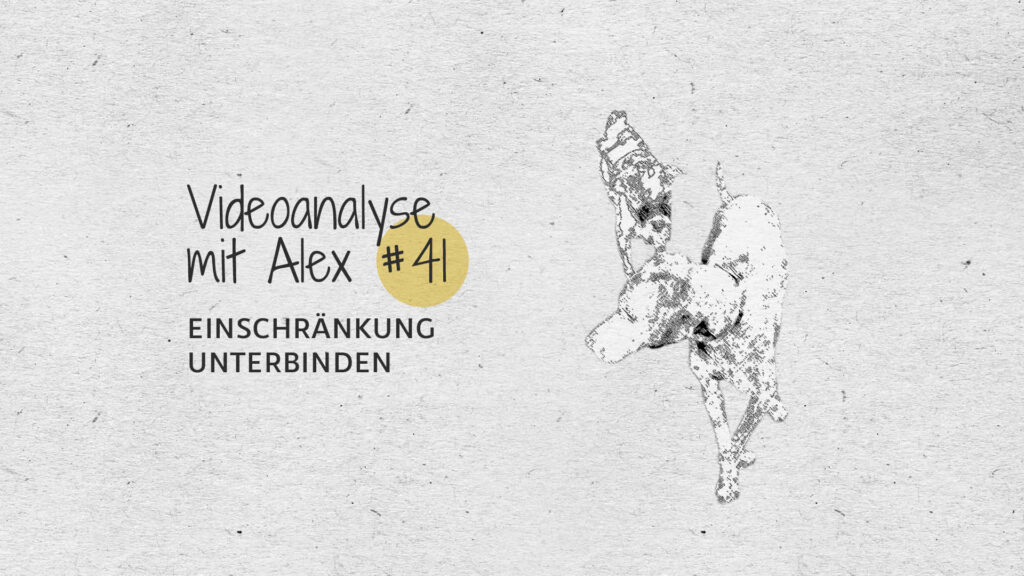 #41 Videoanalyse mit Alex: Einschränkung unterbinden