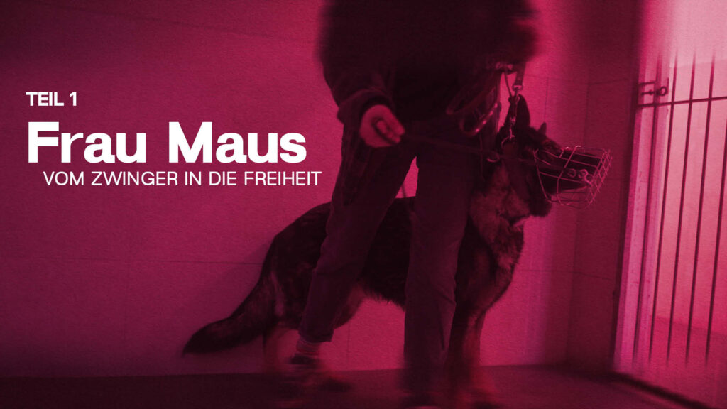 Frau Maus (Teil 1) | Vom Zwinger in die Freiheit