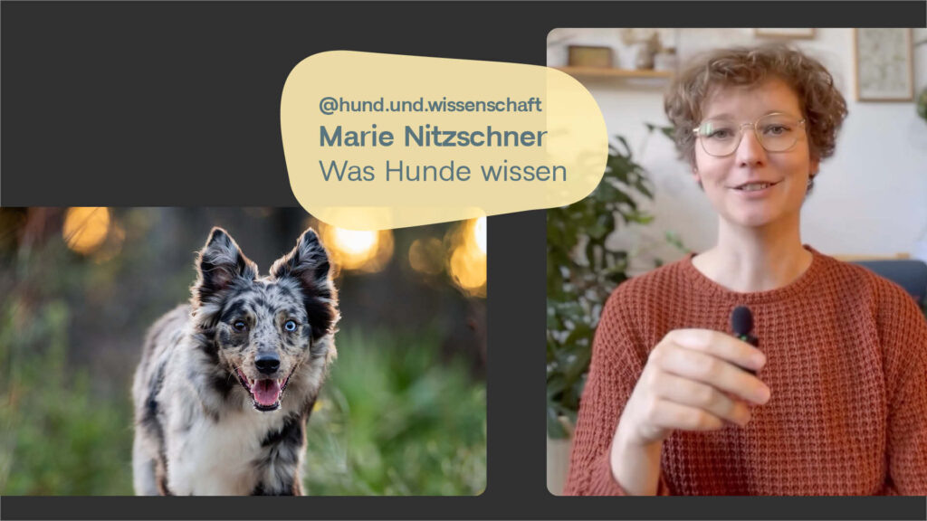 Marie Nietzschner: Belohnung & Motivation