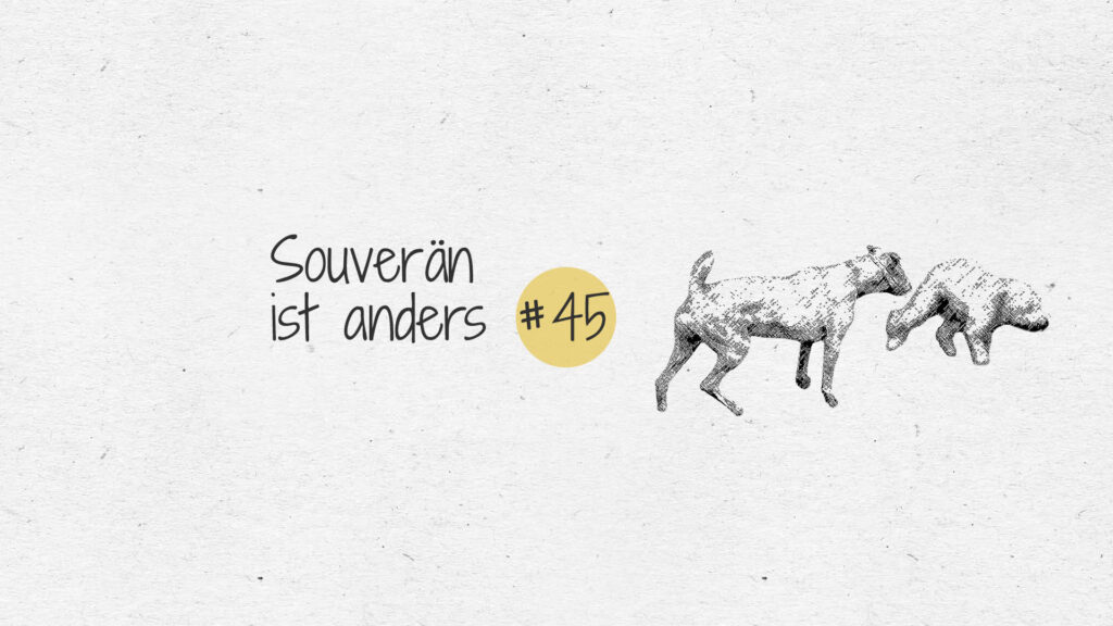 #45 Videoanalyse mit Alex: Souverän ist anders