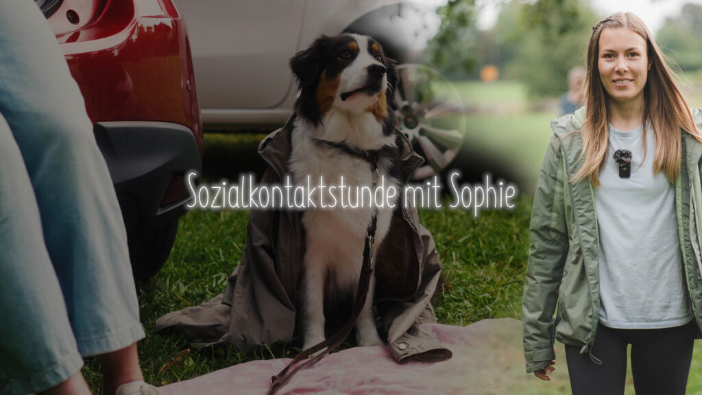 Sozialkontaktstunde mit Sophie Teil 2