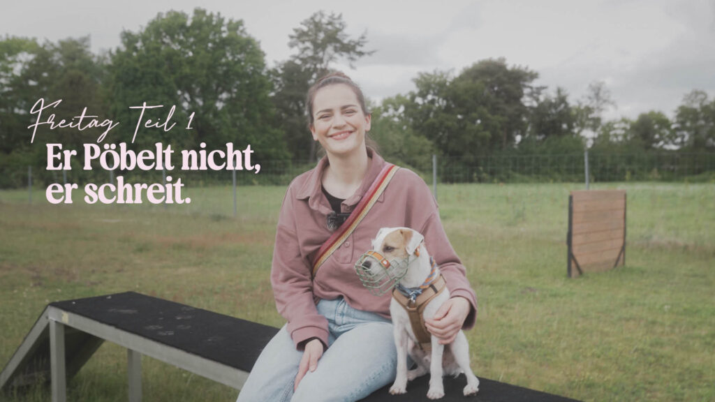 Freitag Teil 1: Er Pöbelt nicht, er schreit.