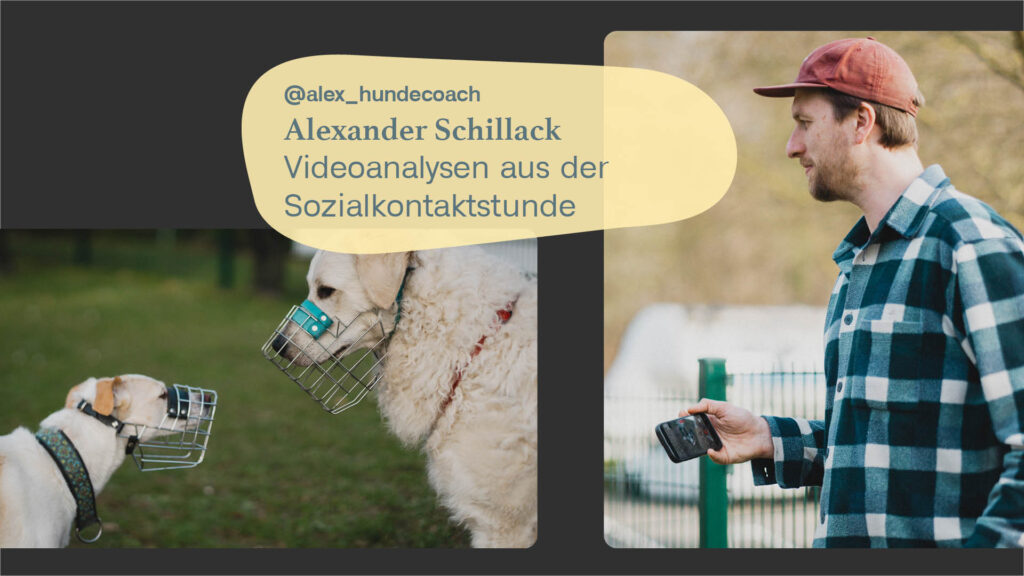 Alexander Schillack: Videoanalysen aus der Sozialkontaktstunde