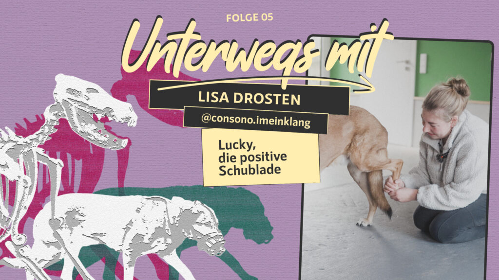Unterwegs mit Lisa | Folge 5 – Lucky, die positive Schublade